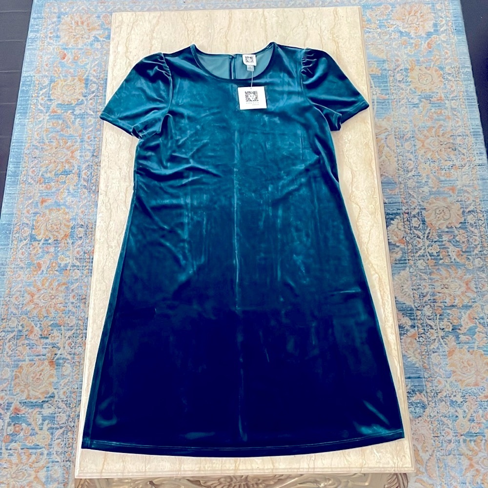 NWT Anne Klein Valet Dress.